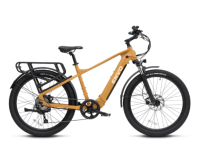 D50, Small Mustard Yellow, 2024, ex-rental eBike
