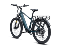 D50, Large Aquatic Blue, 2024, ex-rental eBike