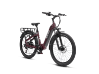 ENVO ST50 is an e-bike that functions as a commuter and cargo carrier. Its rugged frame coupled with suspension fork allows for smooth rides on any terrain. Powered by a 750W motor, the bike's cargo rack and basket can easily transport tools, groceries, or even second passenger.